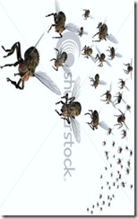 stock-photo--d-render-of-a-swarm-of-flies-they-re-headed-your-way-12375310 - Copy - Copy