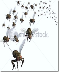 stock-photo--d-render-of-a-swarm-of-flies-they-re-headed-your-way-12375310 - Copy