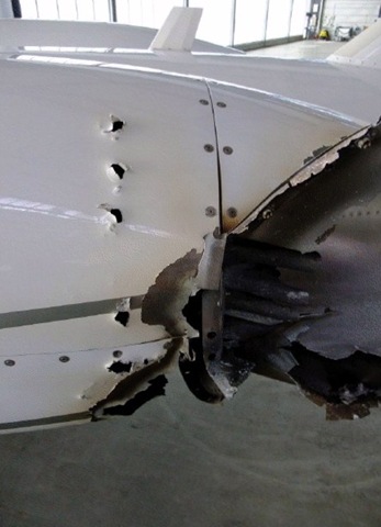 [viewer24.jpg]