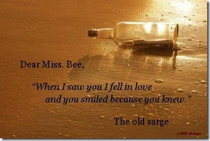messege bottle sarge