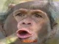 [untitled.png]