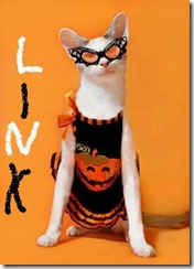 skeezix-halloween-cat-cute-2010