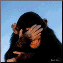 [image0022.gif]