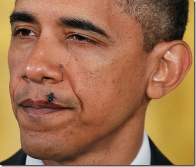 obama-fly-zone-550x470
