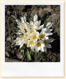 IMG_0809 IMG_0809