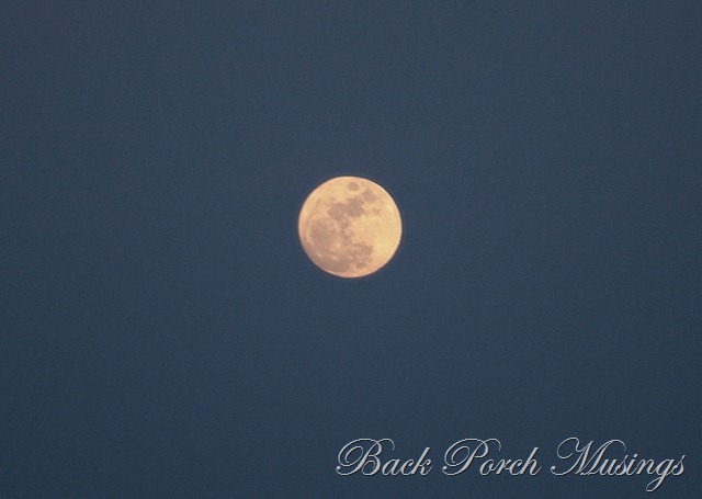 [lakemoon8[7].jpg]