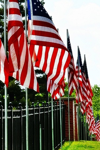 [FLAGS2A[5].jpg]
