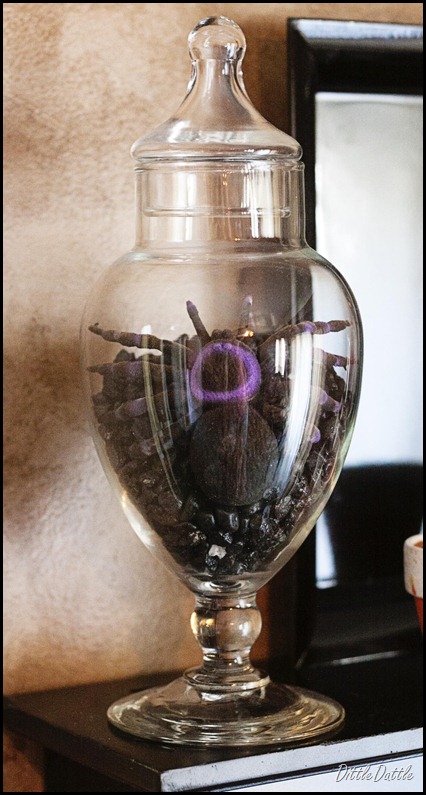 Halloween Ideas - Spider in a Jar