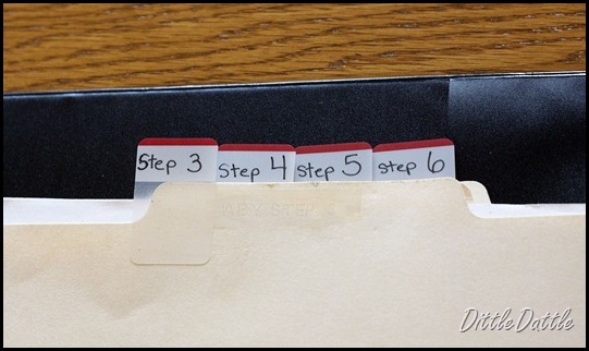 Baby Step Notebook organizer