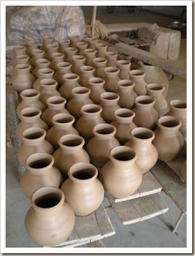 DSCN0820 (Medium)