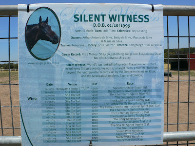Champion horse - Silent witness