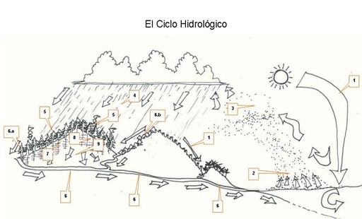 el ciclo hidrológico