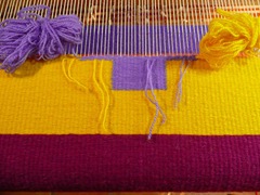 Orchid_Yellow_Crosses