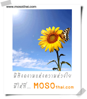 คลิกๆๆ รูปสวยๆน่ารักๆไว้ส่งต่อเพียบ...