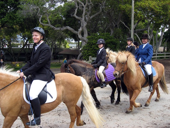 [icehorse25.jpg]