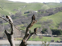 IMG_3697.JPG Photo