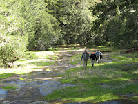 IMG_3809.JPG