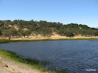 IMG_5256.JPG Photo