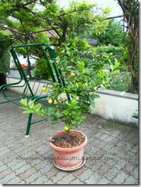 SAM_2380 SAM_2380