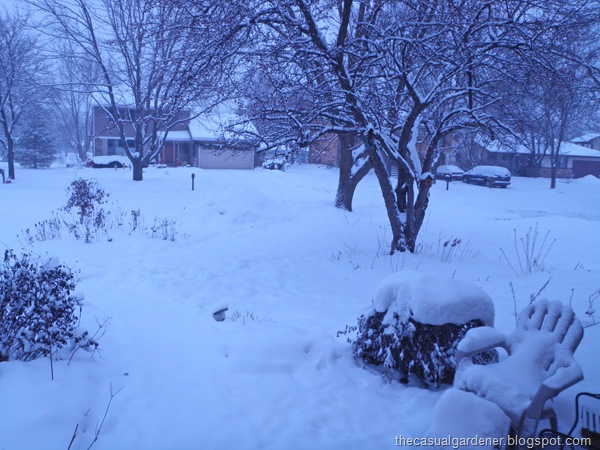 [Winter 2[9].jpg]