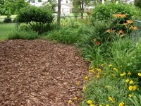 [Mulch in garden[4].jpg]