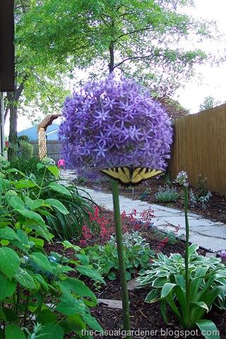 [Balls in Nature[8].jpg]