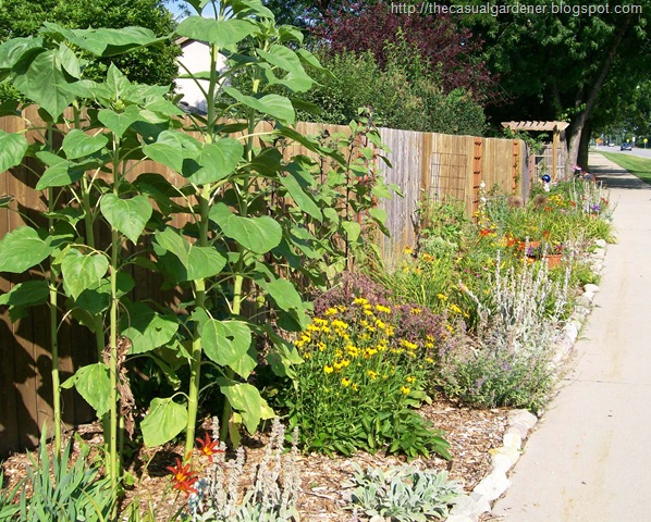 [FullView20087.jpg]