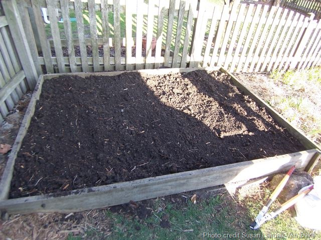 [100_0781[1].jpg]