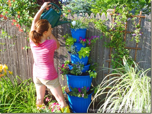 Watering in the recycled container tower     