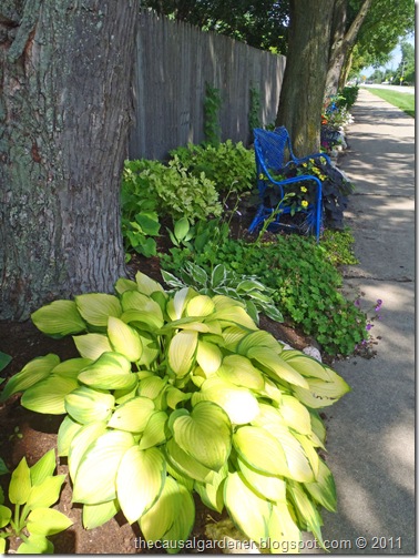 Shady Garden Bed 