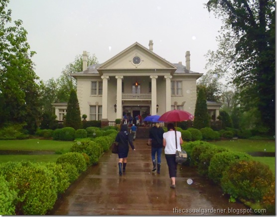 Marlsgate Plantation in the pouring rain 