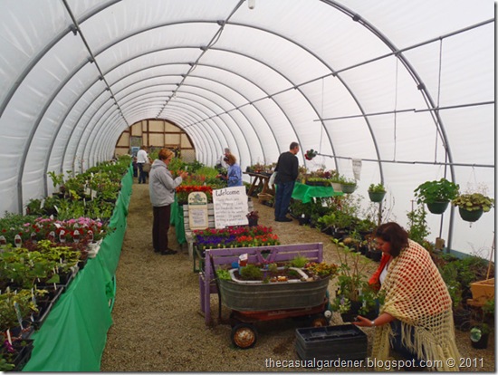 Carolees Herb Farm nursery