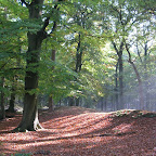 NT2 in het bos