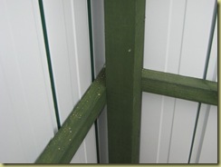 Shed17