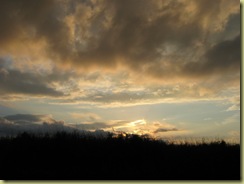 IMG_1112 IMG_1112
