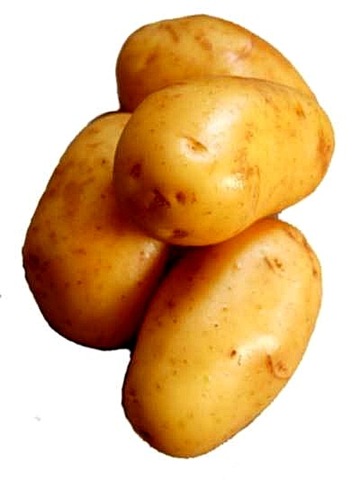 [Potatoes[6].jpg]