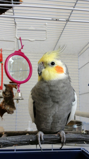 http://lh5.ggpht.com/_bkm4RiKQd9g/TFRKHmYCUuI/AAAAAAAAAXI/Wmdyt275tsc/DSC01663.jpg