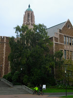 IMGP6469.JPG Photo