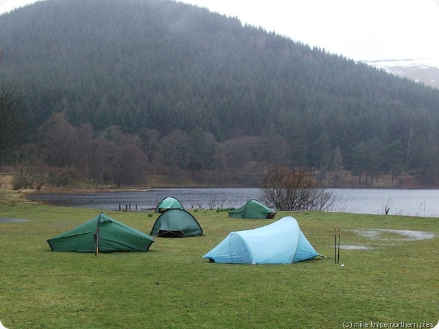 damp camp