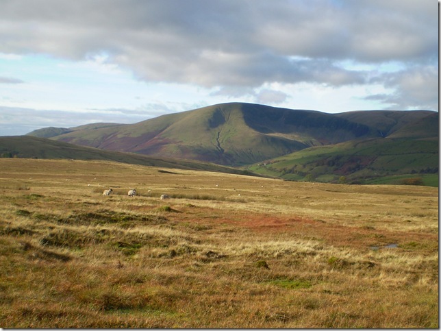 cautley crag from ravenstonedale common