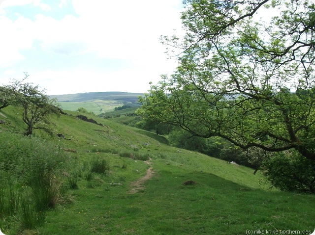 rookhope to eastgate path