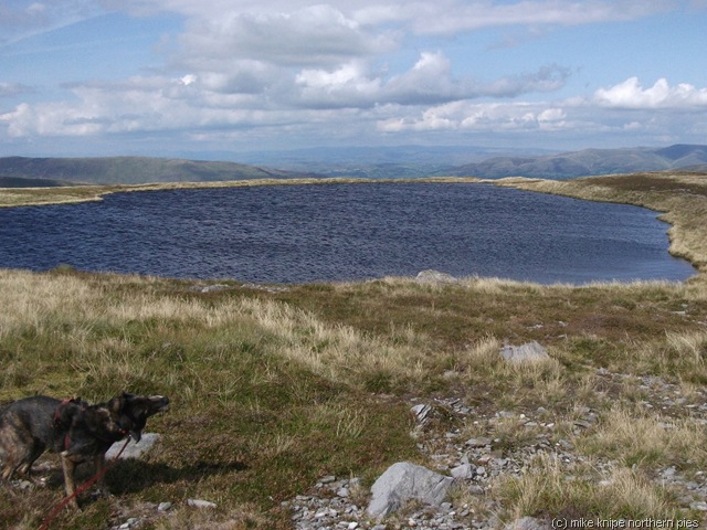 [whernside 020[8].jpg]