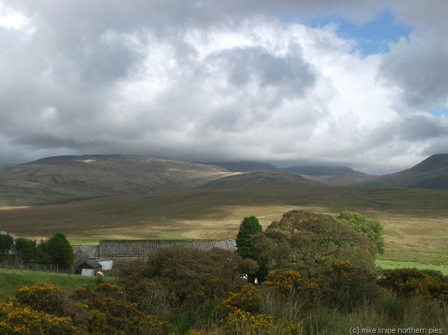 [swainson knott 011[9].jpg]