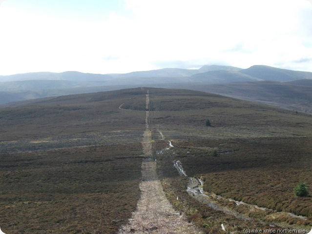 moel fferna to llandrillo top