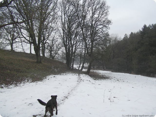 beechburn beck