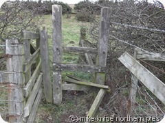 broken stile