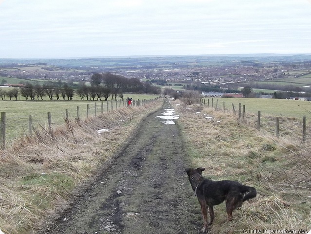 the lane to crook the lane to crook