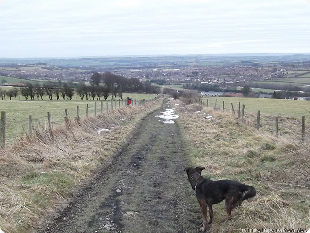 the lane to crook