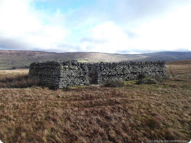 the enclosure/shelter