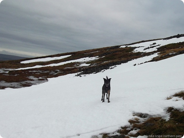bruno and cross fell snow bruno and cross fell snow